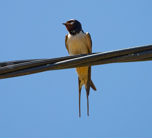 contract and checklist on a desk